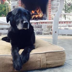 Meet your Posher, Jodi